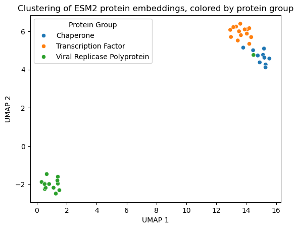 Clustering of Protein Embeddings
